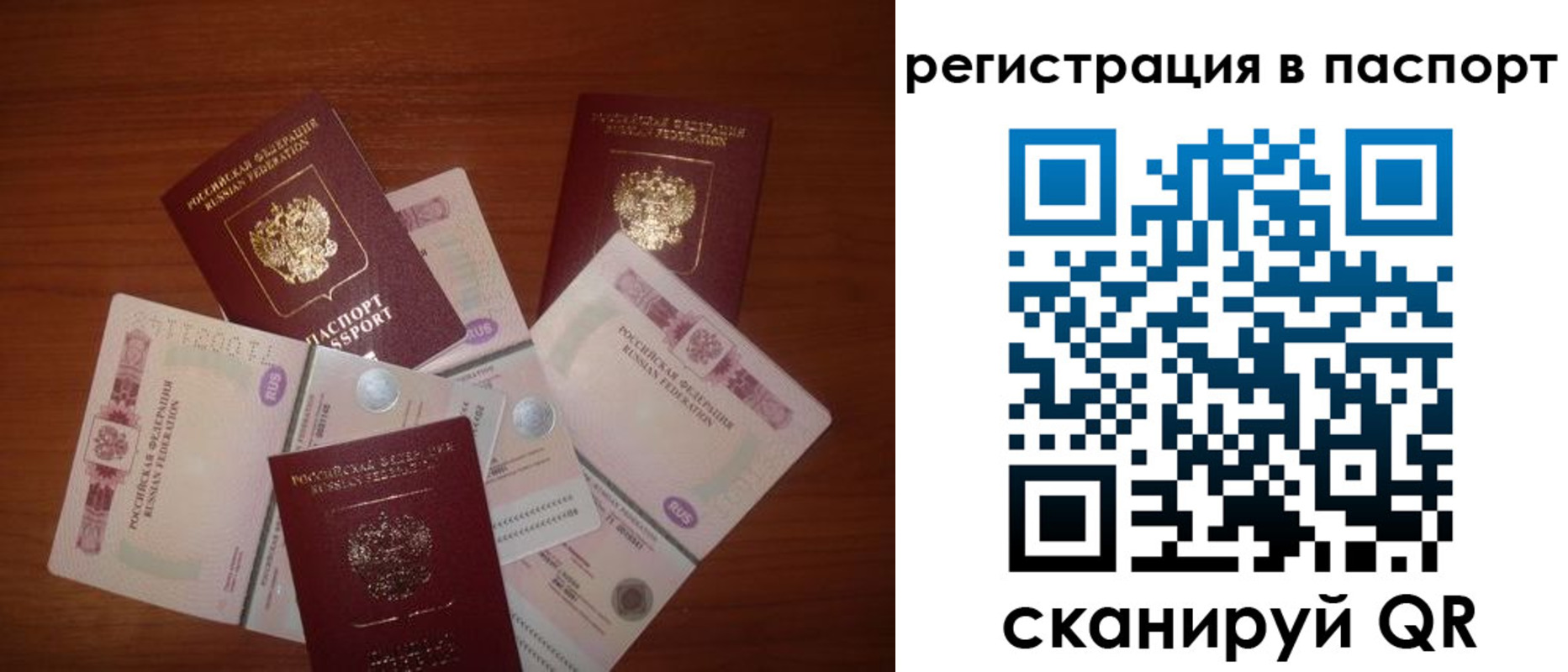 временная регистрация поиск в Сальске